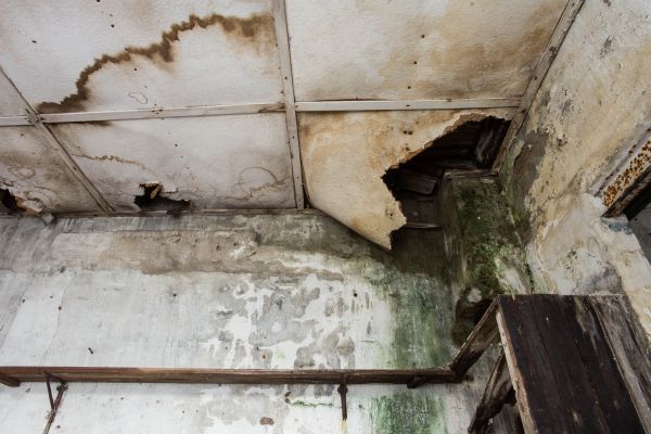 Cost of Water Damage Service in Johnstown