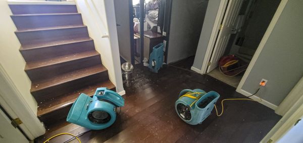 Cost of Water Damage Remediation in Johnstown